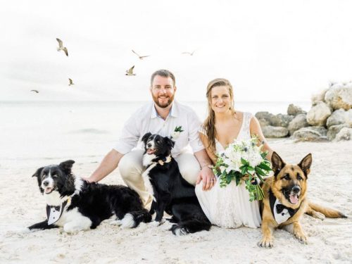 Dogs bring joy and love to the couple and their guests.