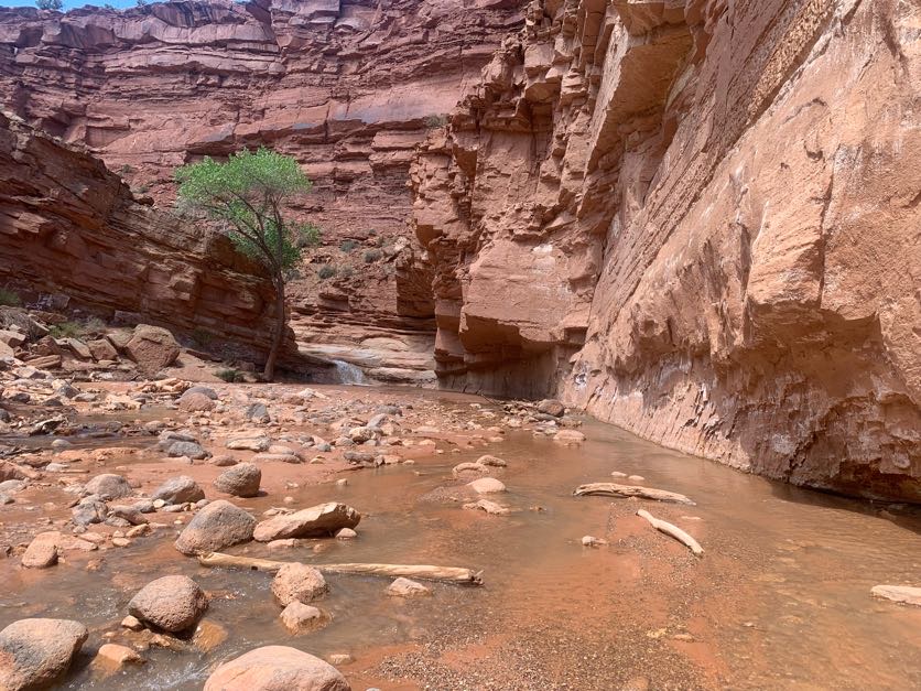 Zion National Park