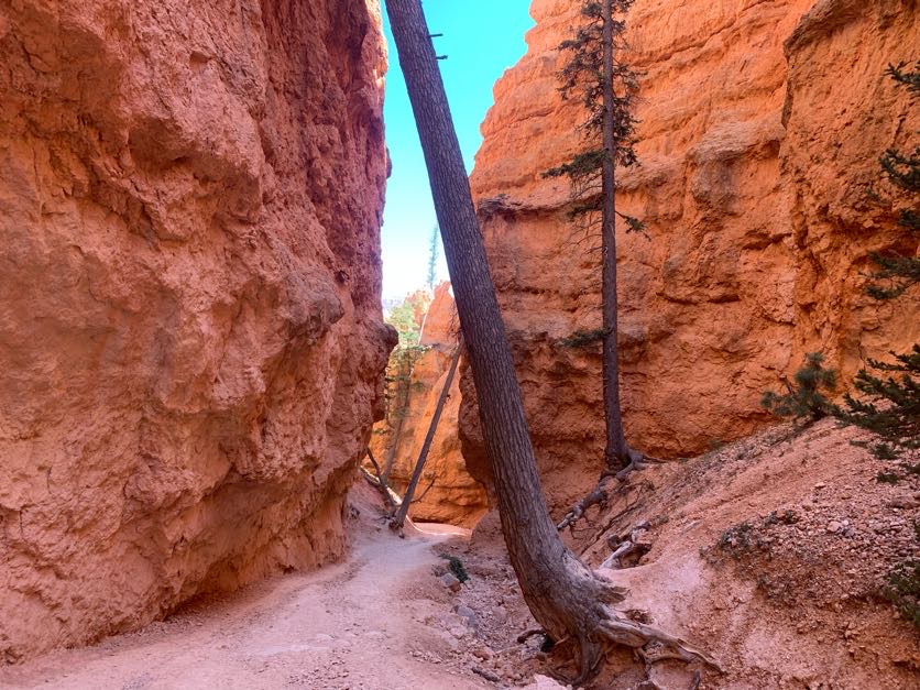 Bryce Canyon National Park