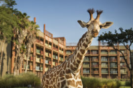 Disney's Animal Kingdom Lodge