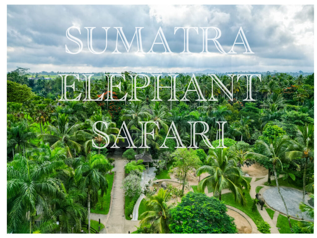 Arial view - Animal Attractions in Bali to visit